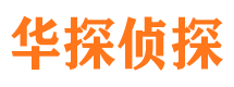 沙坪坝市婚外情调查